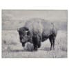 Framed canvas photo painting of buffalo boho modern