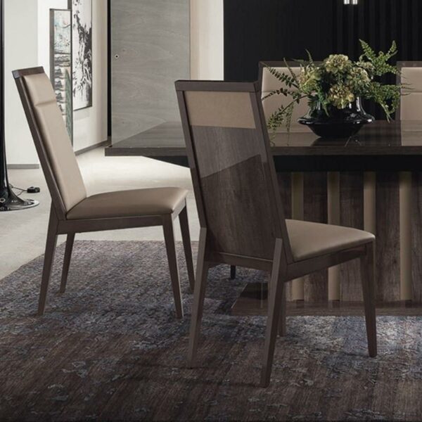 High gloss frame dining chair with a dark oak finish- modern style